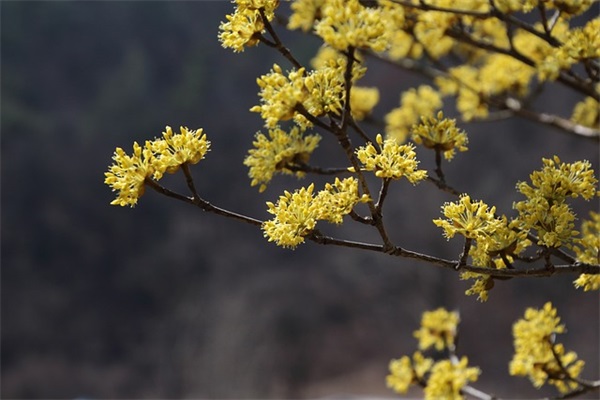 要学会礼貌拒绝别人的经典句子收藏四十句