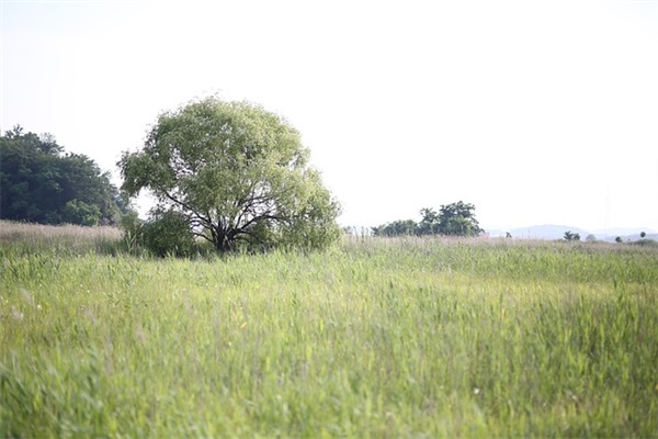 表达心情感慨的句子精选