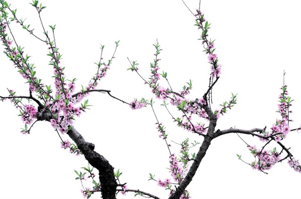 风雨正能量句子励志71条