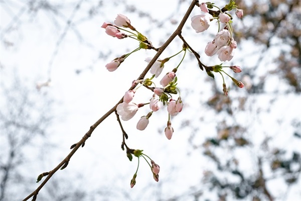 形容自己对父母愧疚的句子文案摘录(40条)