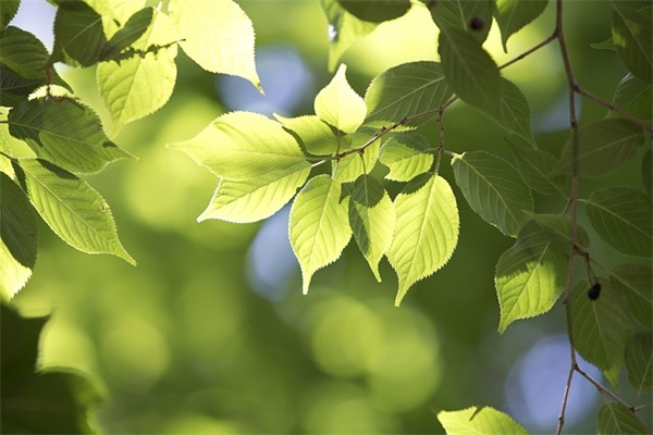 含蓄的说借钱不还的心酸心寒句子 【收藏】