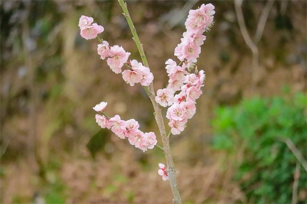 抖音热门吐槽工资少活多的心情句子