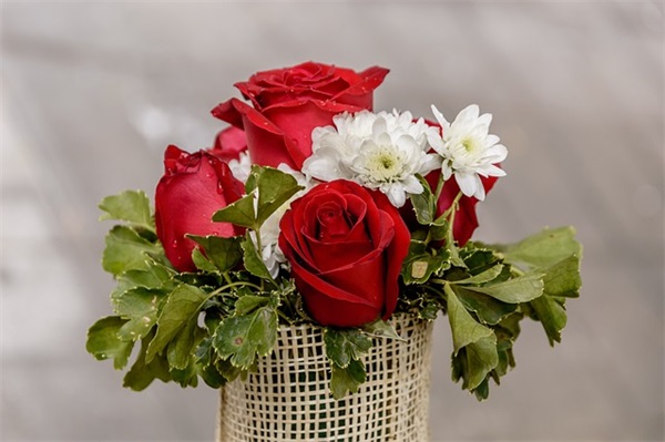 朋友圈暗示不是一路人的文案句子