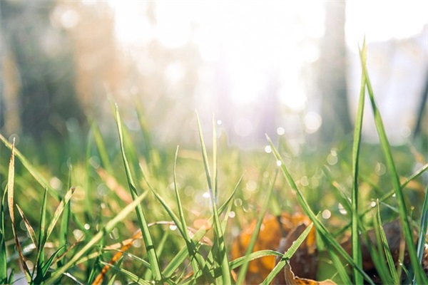 假期结束收心好好工作的句子通用47句