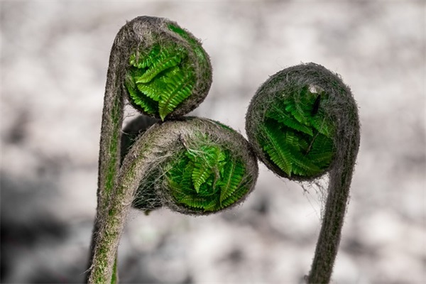 过周末搞笑幽默句子30条