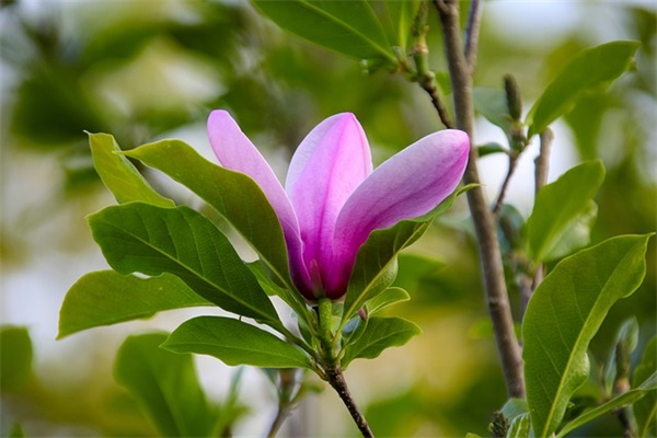 形容老了的幽默搞笑句子集合