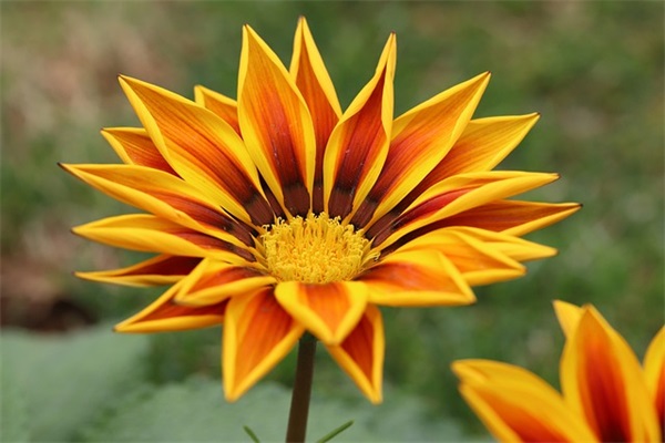 一家人旅游在路上的心情句子 (合集30句)