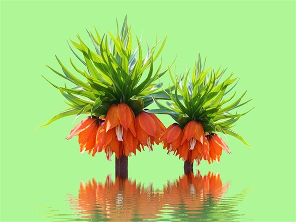 太热了适合发朋友圈句子(51条)