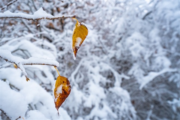 六一儿童节简短句子