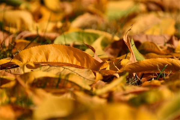 身体健康最重要的句子51句