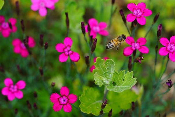 朋友圈自恋臭美的说说句子收藏五十句