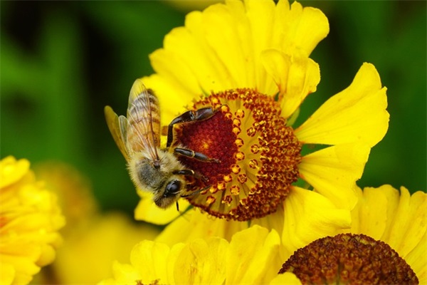 哄女朋友睡觉的情话暖心的句子
