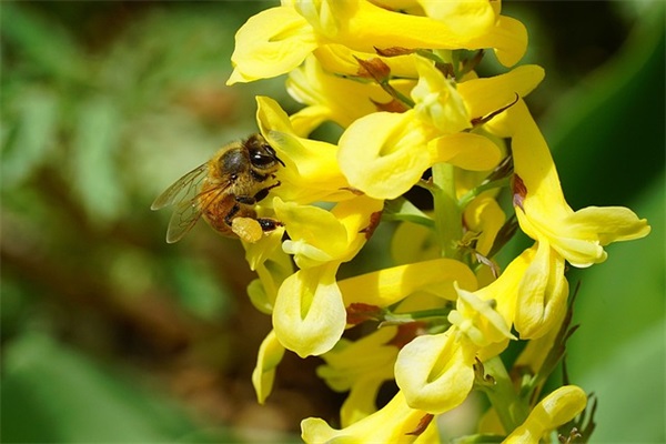 不想恋爱的句子通用34句