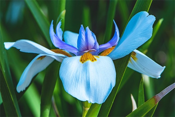 儿女双全句子(摘录39句)