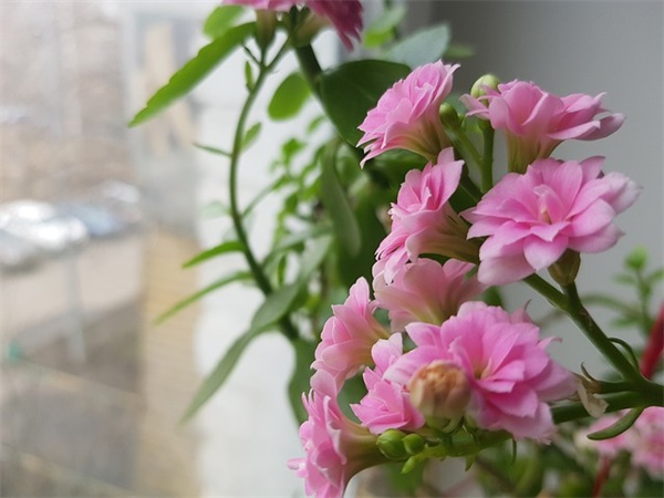 宝宝第一次上幼儿园的句子汇总35条