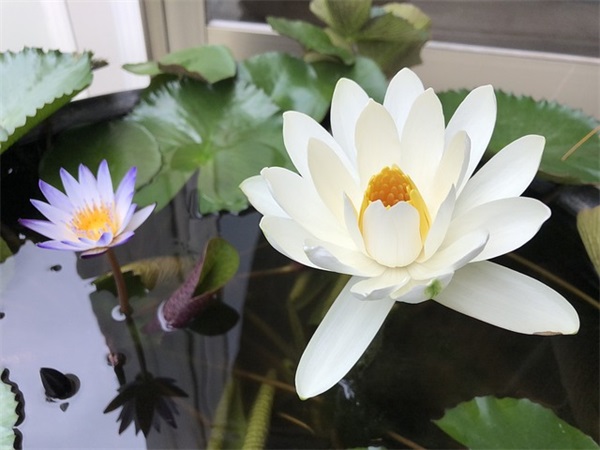 押韵霸气励志句子