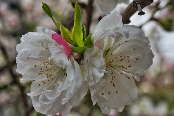 损人幽默句子(集合44条)