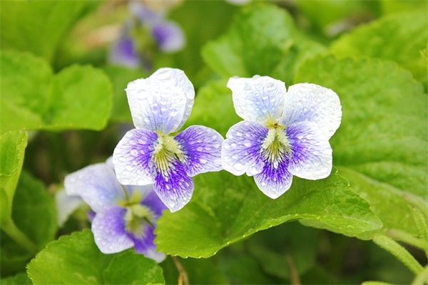 光荣退休幽默句子收藏50条