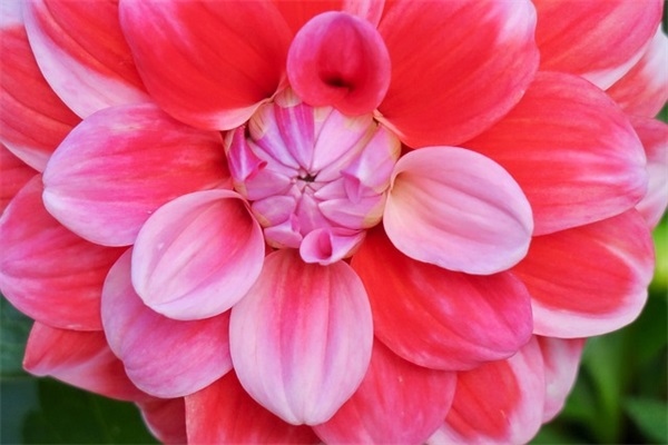 婚姻感悟经典句子通用44句