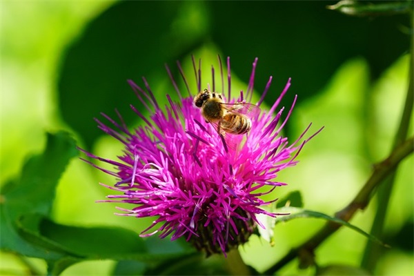 缅怀烈士的句子46条