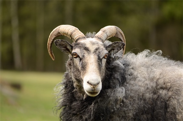 安慰考试失利的句子46条