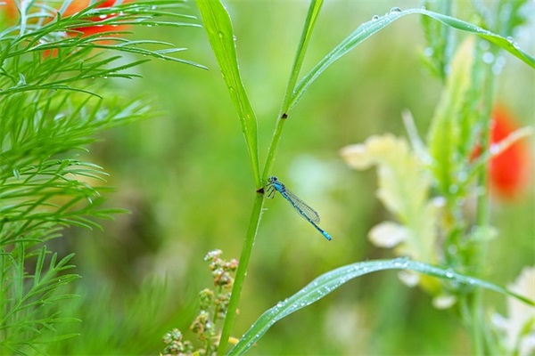 借钱不还惹人生气的霸气句子 (集锦40句)