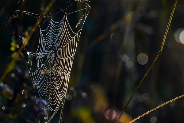 赞美祖国强大的句子34条