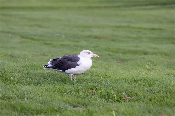 日常哄女朋友睡觉的搞笑幽默句子 【分享】