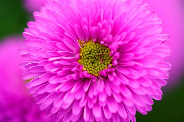 一分钟让女朋友开心的经典幽默句子 (精选40句)