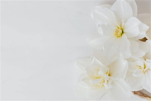 甜言蜜语大全（精选）