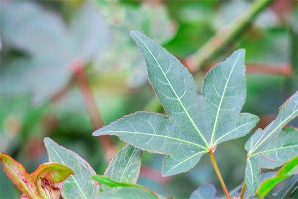 关于2024年后开工大吉简短祝福金句