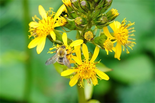 教师节简约文案祝福（精选推荐）