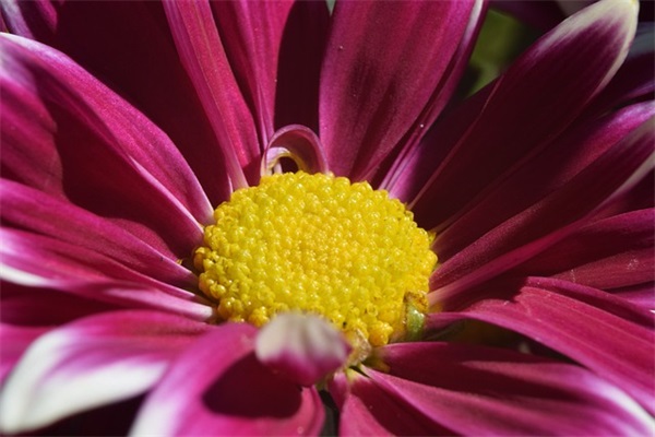 关于2024开工大吉祝福语简短一句话