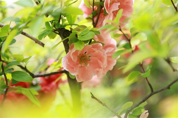 2024年霜降节气的暖心祝福语100句（精选）