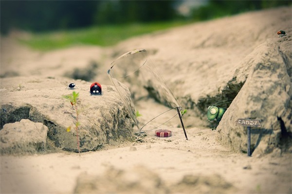 适合群发的冬至祝福语大全