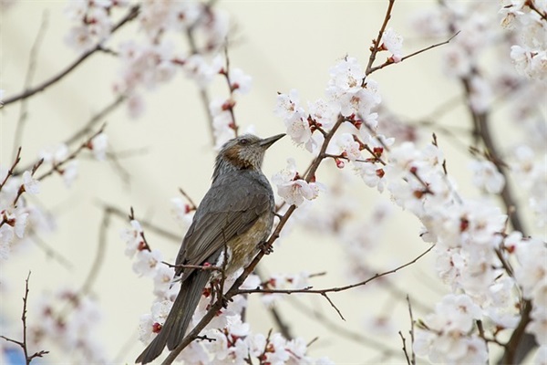 2024年立冬时节朋友圈祝福语（精选）