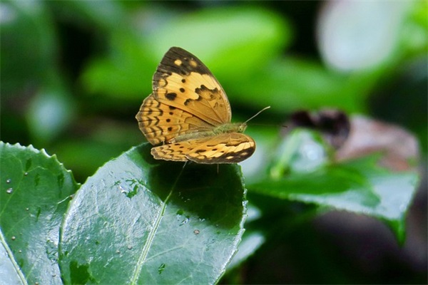 朋友圈立冬的祝福语2024（精选）