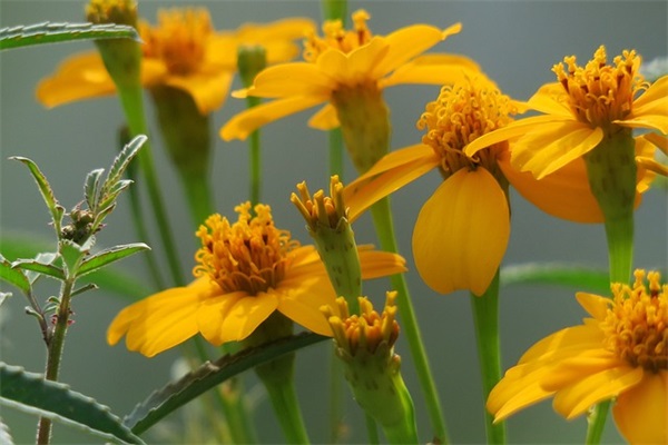 2024庆祝国庆72周年祝贺词_国庆节祝福祖国的话（精选推荐）