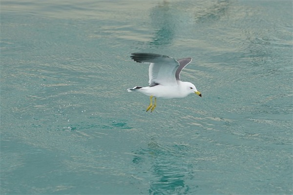 冬至祝福语简短唯美