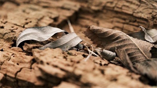 8.1建军节祝福语文案2024（精选推荐）