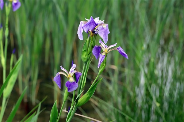 2024年重阳节暖心祝福语_重阳节经典问候语（精选100句）
