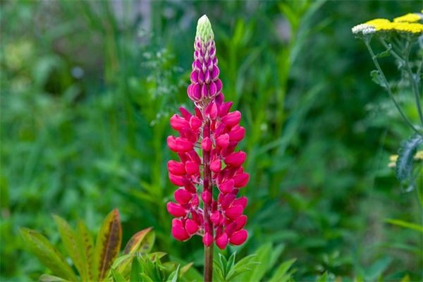 2024虎年正月初五接财神开业吉祥话祝福语（100句）