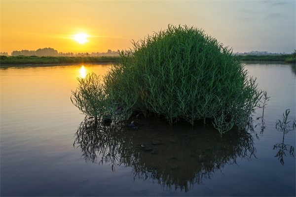 幼升小家长祝福寄语经典（精选推荐）