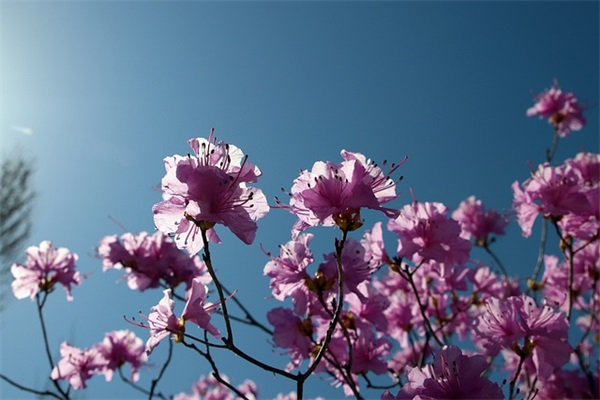 关于2024下雪天祝福语（最新99句）