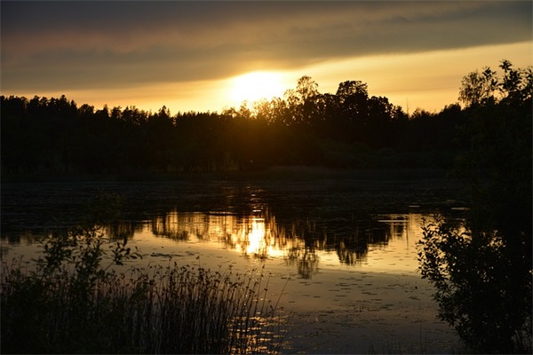 关于2024七一建党节庆祝建党百年的祝福语