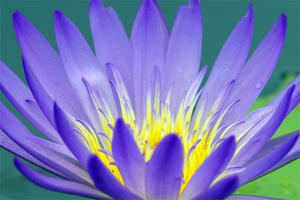 2024重阳节温馨敬老祝福语100句（精选推荐）