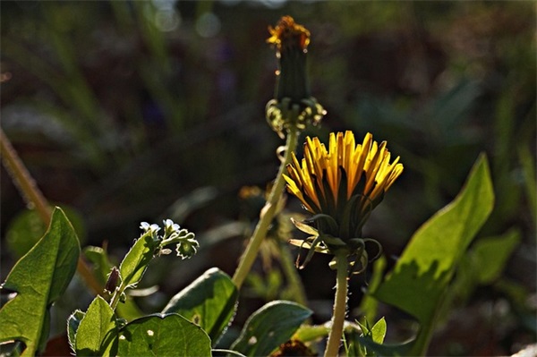 关于2024青年节给同学的经典祝福句子