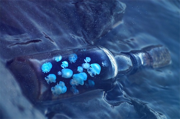 2024平安夜温馨祝福语