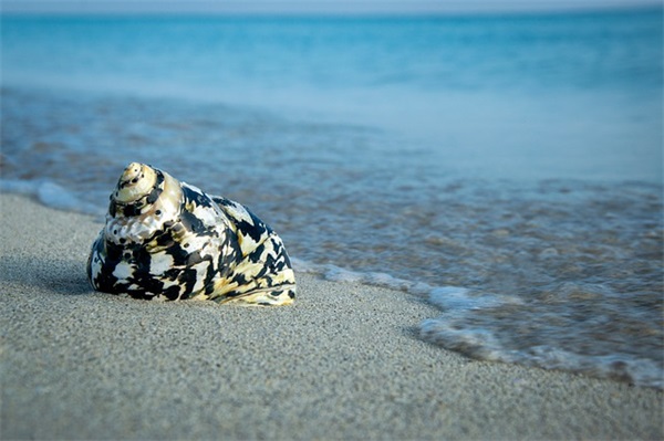 2024年除夕走心祝福文案简短