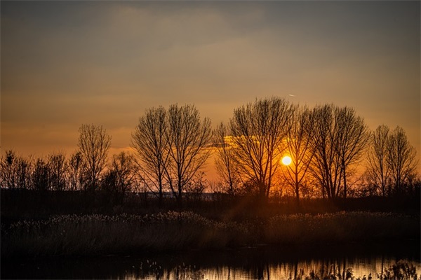 冬至简单的祝福句子